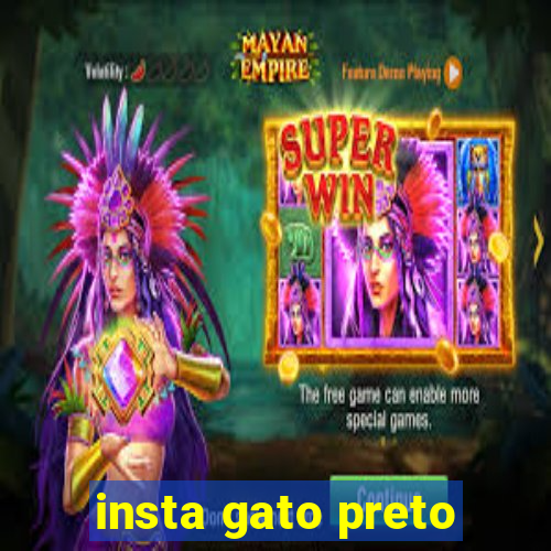 insta gato preto